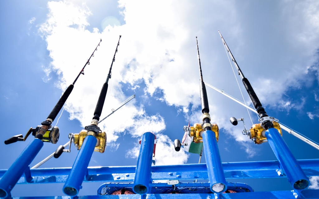 Cozumel Deep -Sea Fishing - Image 2