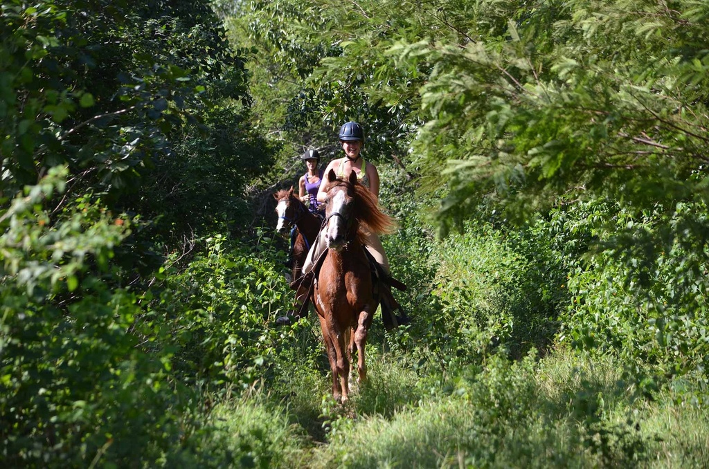 LDS Tour 10. Tulum Ruins and Horseback Riding - Image 2