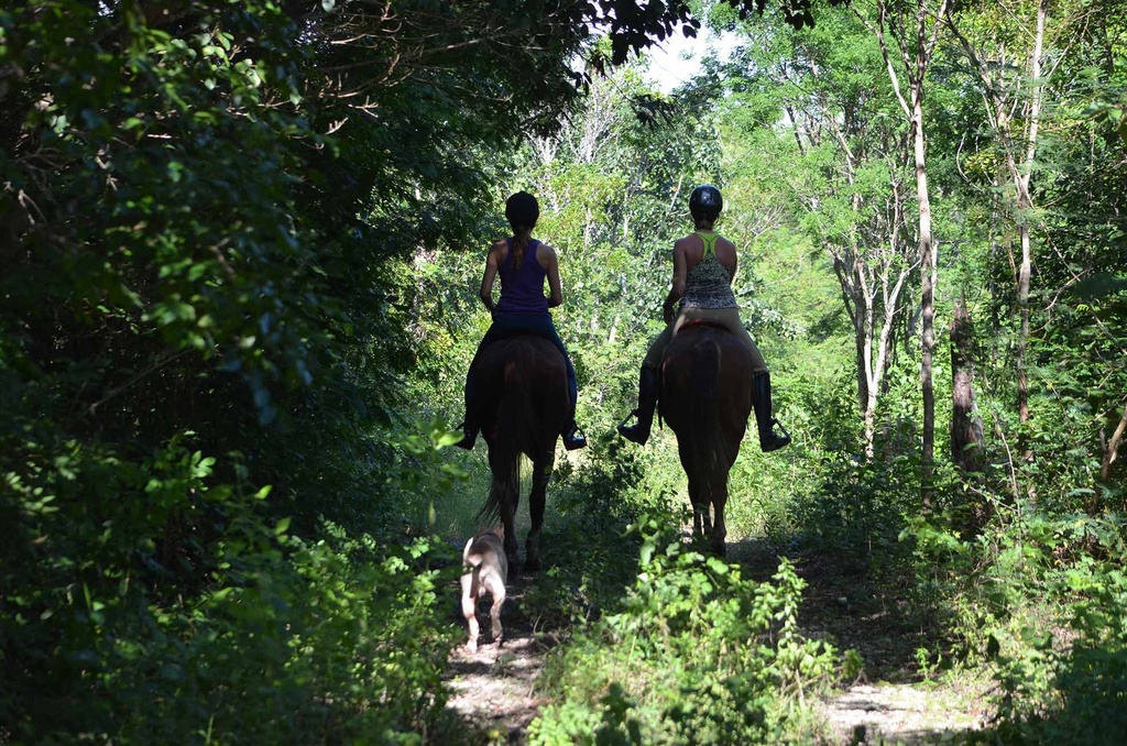 LDS Tour 10. Tulum Ruins and Horseback Riding - Image 3
