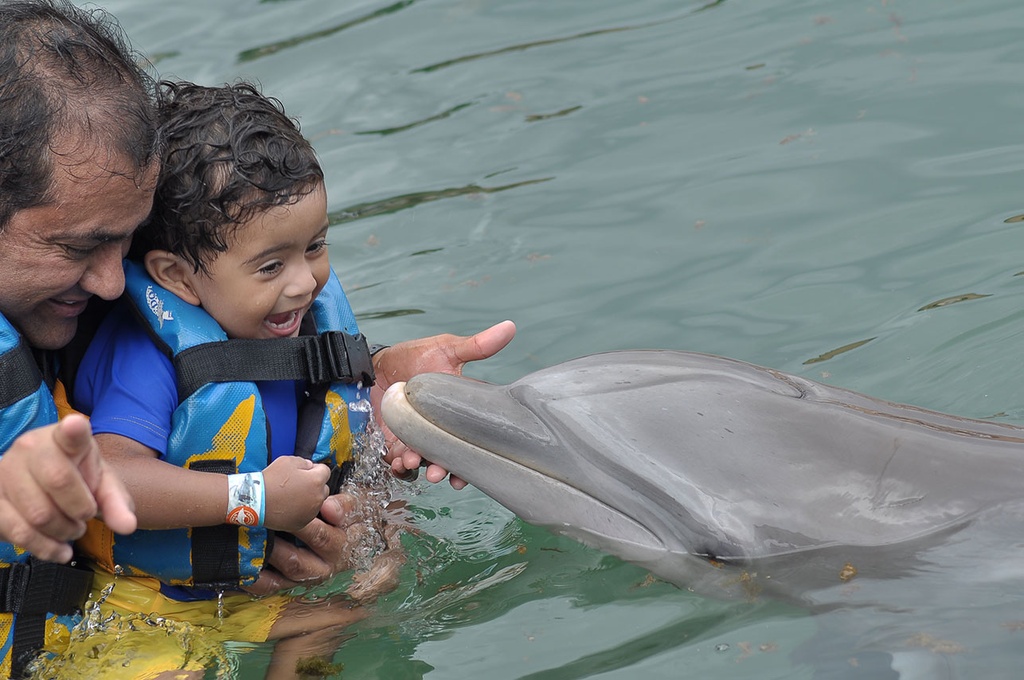 LDS Tour 11C. Tulum Ruins and Dolphin Encounter - Image 2