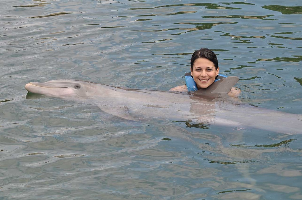 LDS Tour 11C. Tulum Ruins and Dolphin Encounter - Image 3
