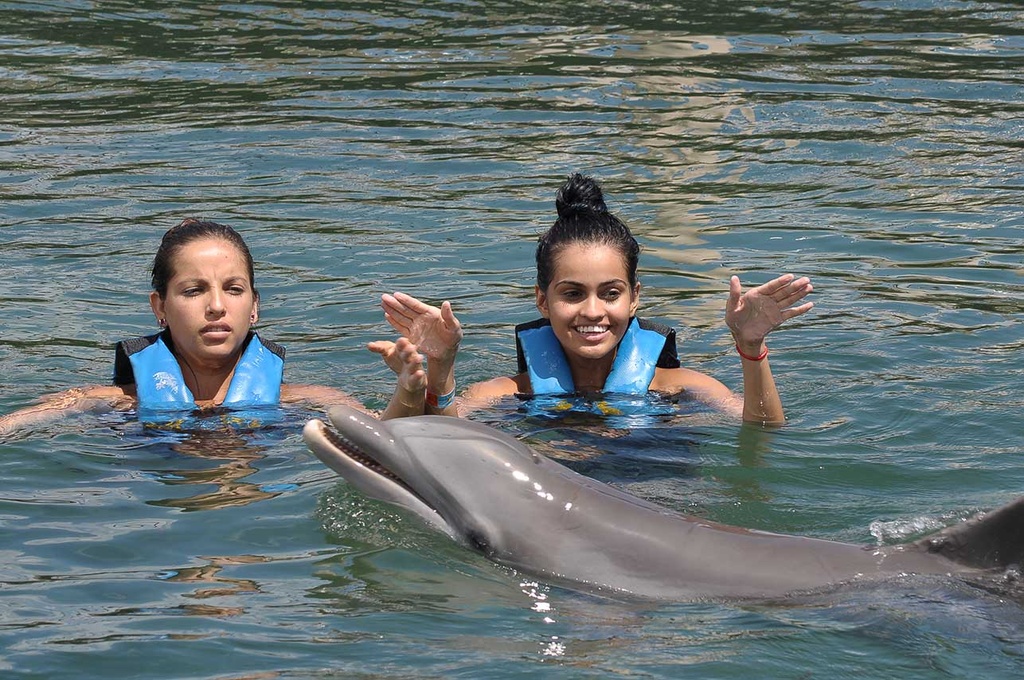 LDS Tour 11C. Tulum Ruins and Dolphin Encounter - Image 5