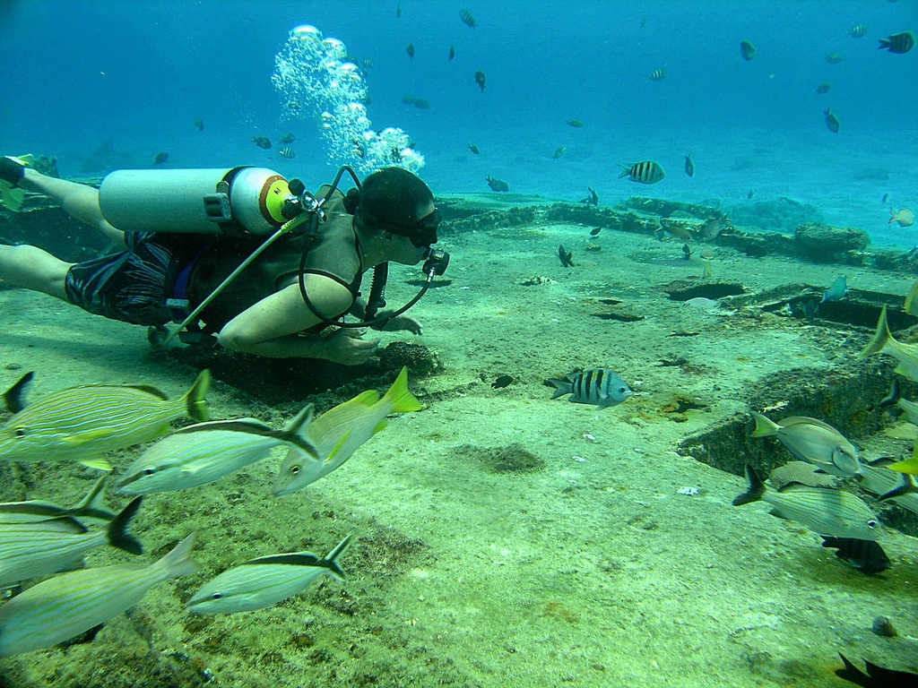 LDS Tour 12. Tulum Ruins and Scuba Diving - Image 4