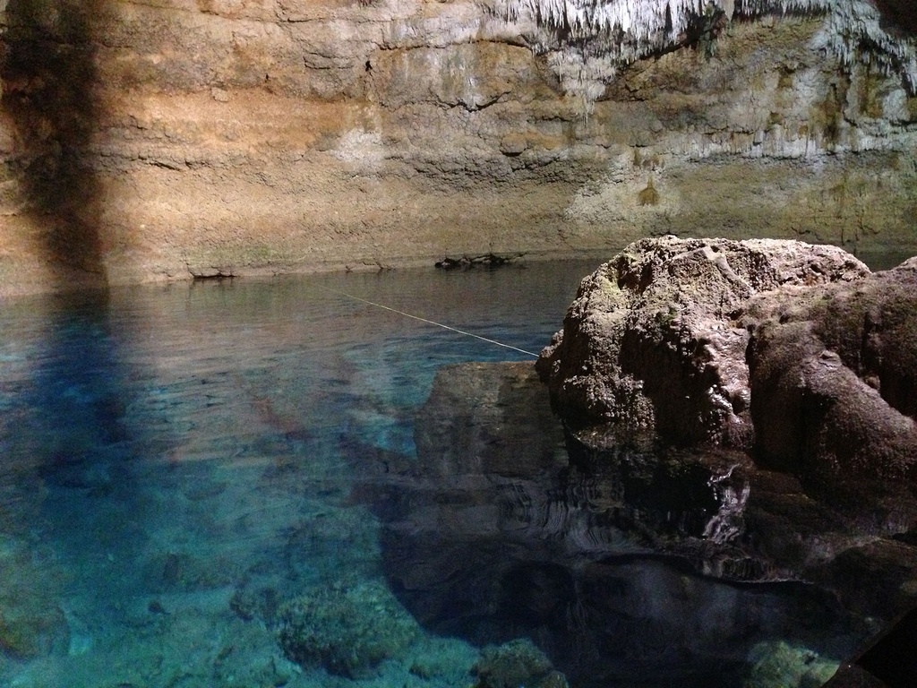 LDS Tour 2. Tulum, Coba Ruins and Cenote - Image 6