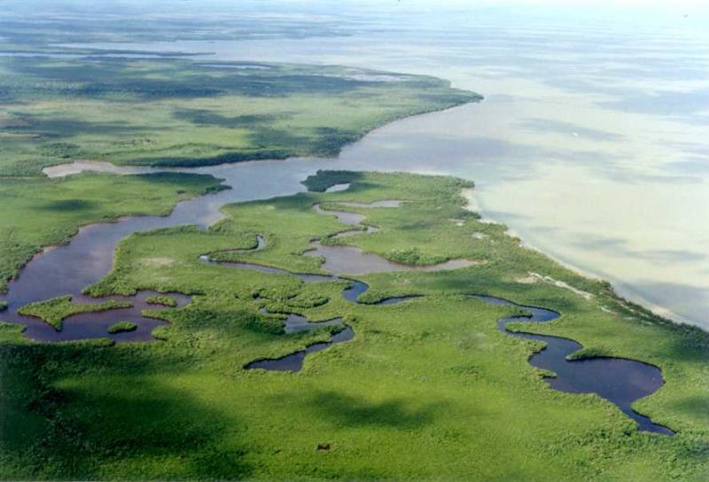 LDS Tour 7. Muyil Ruins and Chunyaxche Lagoon Expedition by Boat - Image 7