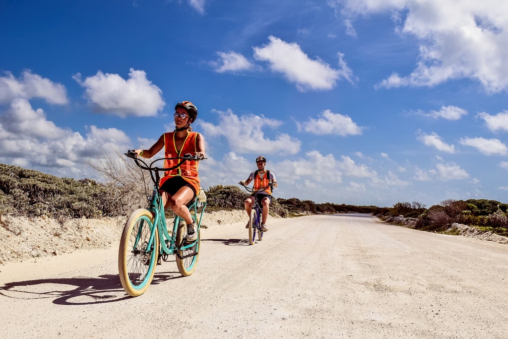 Tour 30. Cozumel Punta Sur Eco Park - Pedego E-Bike Adventure - Image 5