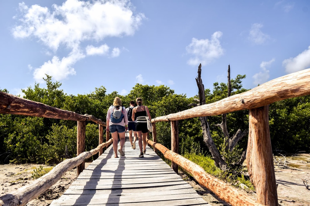 Tour 30. Cozumel Punta Sur Eco Park - Pedego E-Bike Adventure - Image 8
