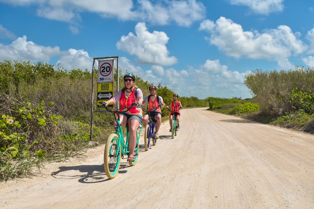 Tour 30. Cozumel Punta Sur Eco Park - Pedego E-Bike Adventure - Image 9