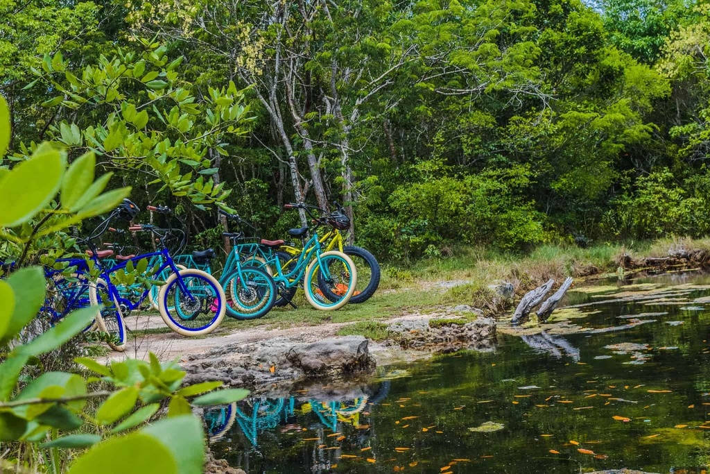 Tour 32. Cozumel West Cost - Pedego E-Bike and Snorkel Tour - Image 3