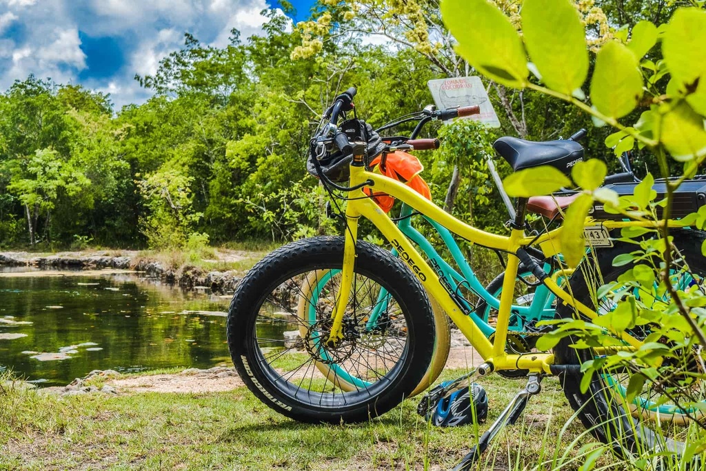 Tour 32. Cozumel West Cost - Pedego E-Bike and Snorkel Tour - Image 4