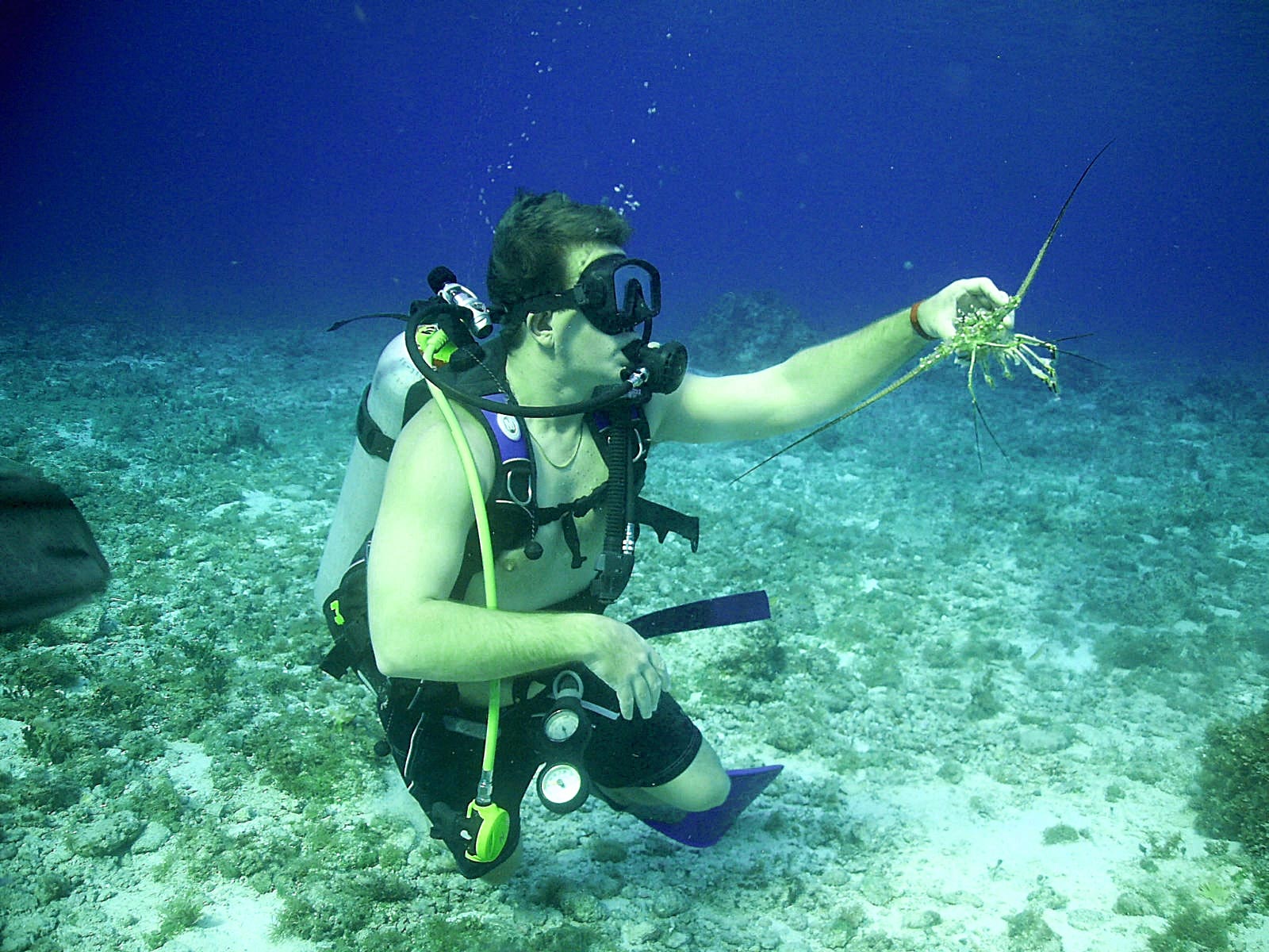 LDS Tour 12. Tulum Ruins and Scuba Diving - Image 1